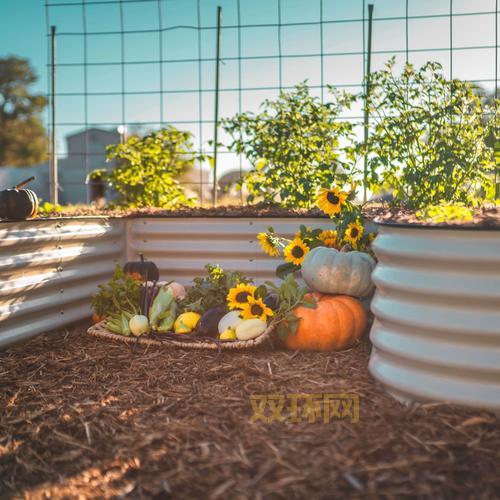 教你省钱买花圃?花圃种植技巧大揭秘