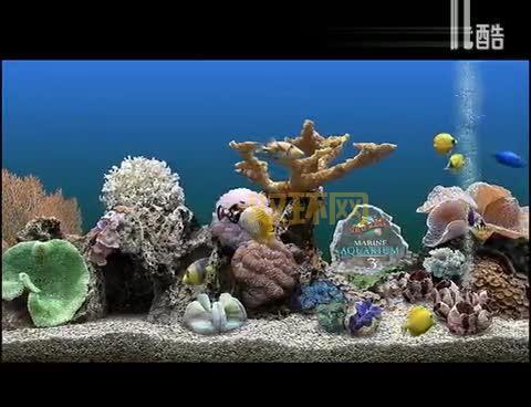 热带鱼屏保推荐?让电脑屏幕变水族箱