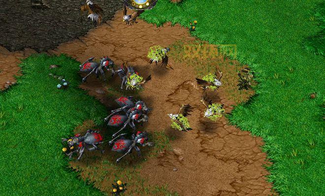 UP对战平台官网：https：reckfeng.com -  魔兽争霸玩家必备平台，下载体验！