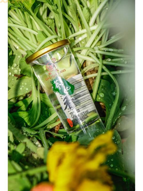 WOW矮人烈酒:酒香四溢,带你领略矮人酿酒文化