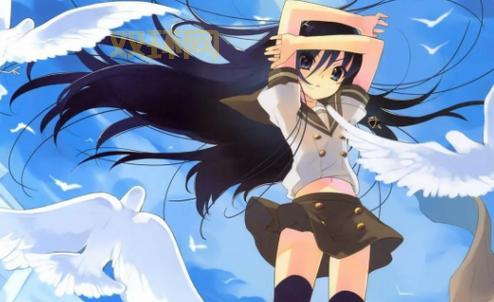 NyaFun动漫：追番必备，海量资源，无广告打扰