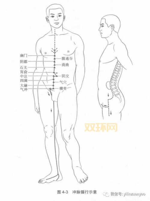 奇经八脉龙宫：海中蛟虬经脉搭配与实战技巧分享
