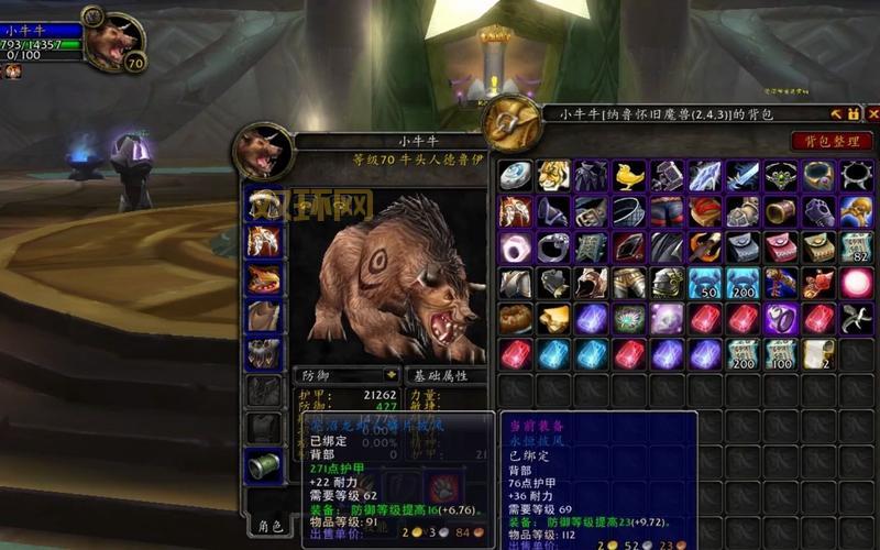 TBC怀旧服美味秃鹫：提升耐力和精神的必备食物