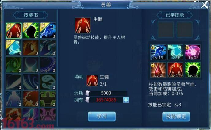 倩女幽魂灵兽成长指南:快速培养强大灵兽的技巧