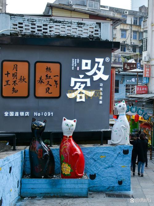 新版猫咪官网：猫咪爱好者的天堂，海量资源等你探索！