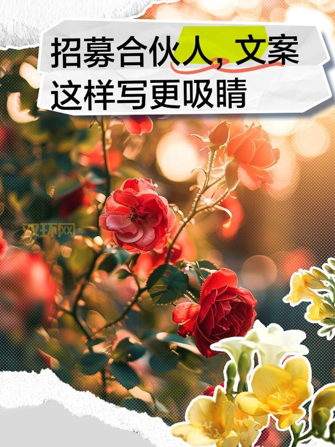 战舰帝国：与志同道合的伙伴，共创辉煌！