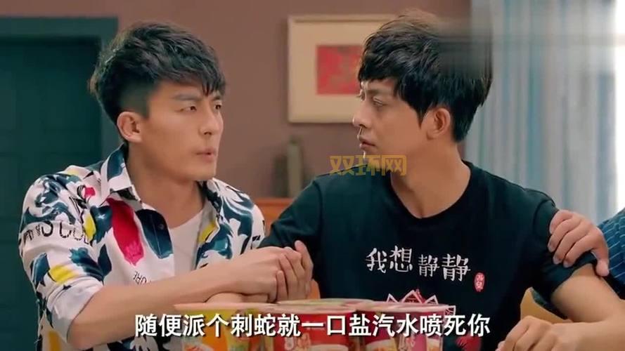 爱情公寓2 下载地址大全：高清资源，任你选择