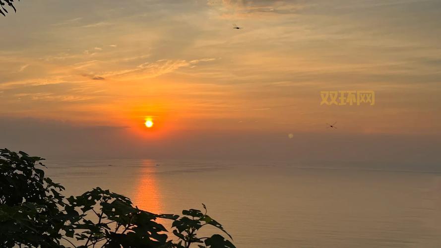 连云港本地必备：我的连云港APP下载，政务、生活、便民一网打尽