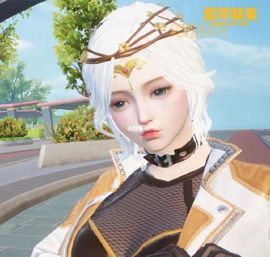 和平精英捏脸代码使用教程:轻松导入心仪角色