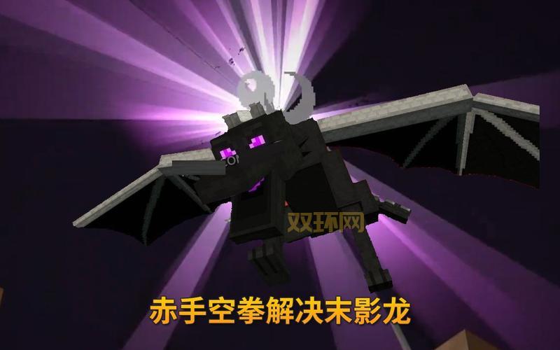 我的世界:末影龙驯服指南,教你如何成为龙骑士!