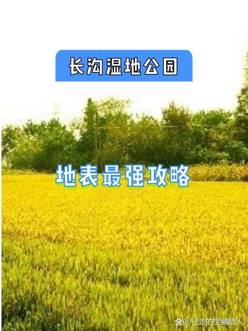 荒野兵器XF金手指使用攻略:如何轻松获得最大资源