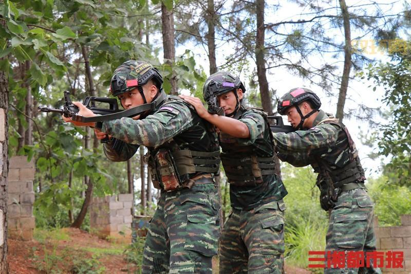 红蓝对抗实兵演练:高原复杂环境下的精准打击考验