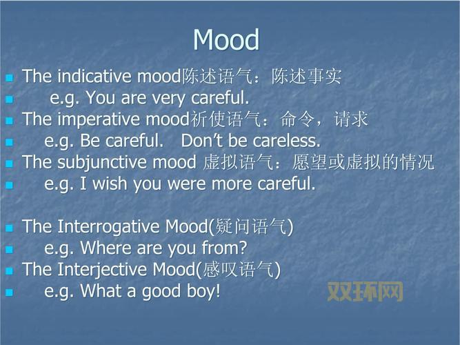 如何正确使用insist:虚拟语气与直接陈述的区别
