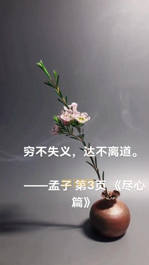 孟子一共有几篇?深入解析七篇内容