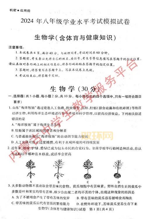 2024猜歌王疯狂模式答案，快速获取通关秘籍！