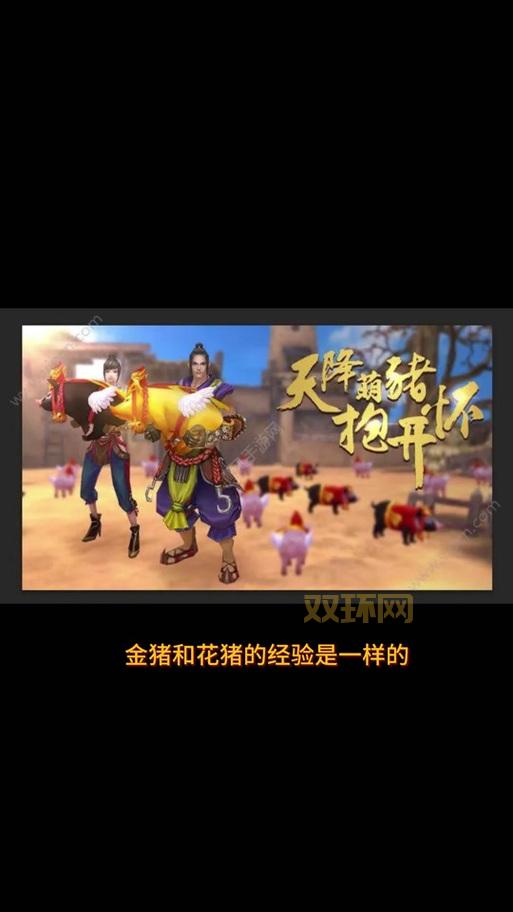 御龙在天马的品质快速提升攻略！教你打造极品坐骑！