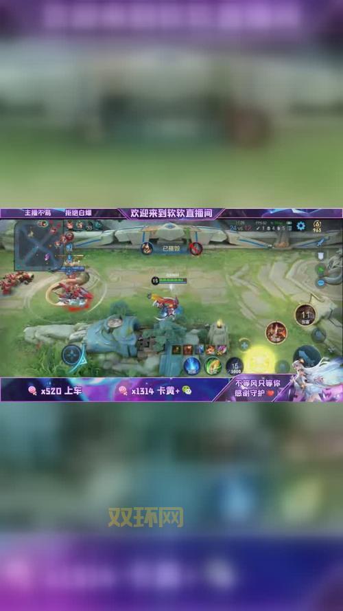 rr7777王者荣耀皮肤是否真实？深入分析与警示