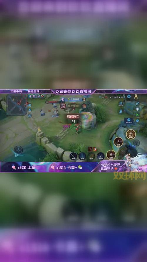 rr7777王者荣耀皮肤是否真实？深入分析与警示