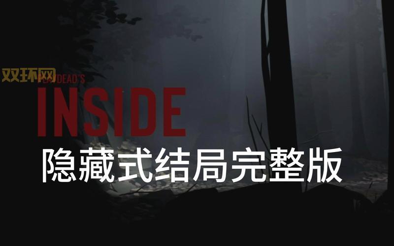 Inside游戏评测:揭秘Playdead的黑暗冒险魅力