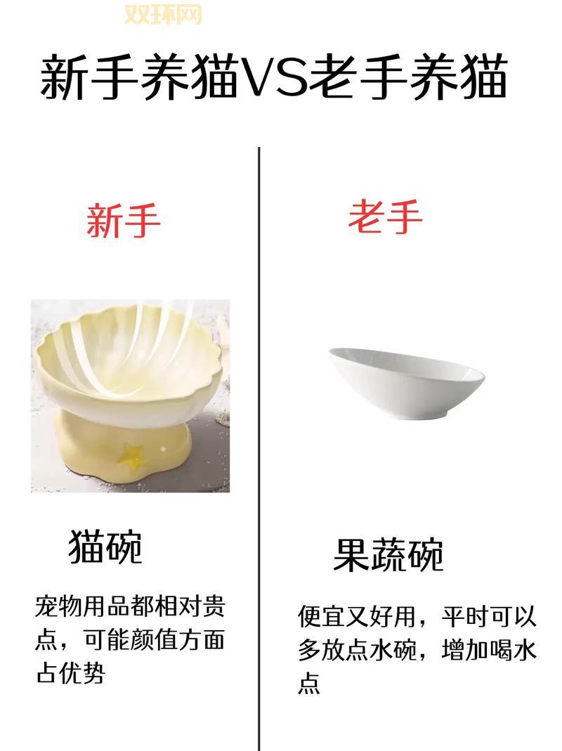 剑姬符文加点攻略，新手老手都适用的终极秘籍！