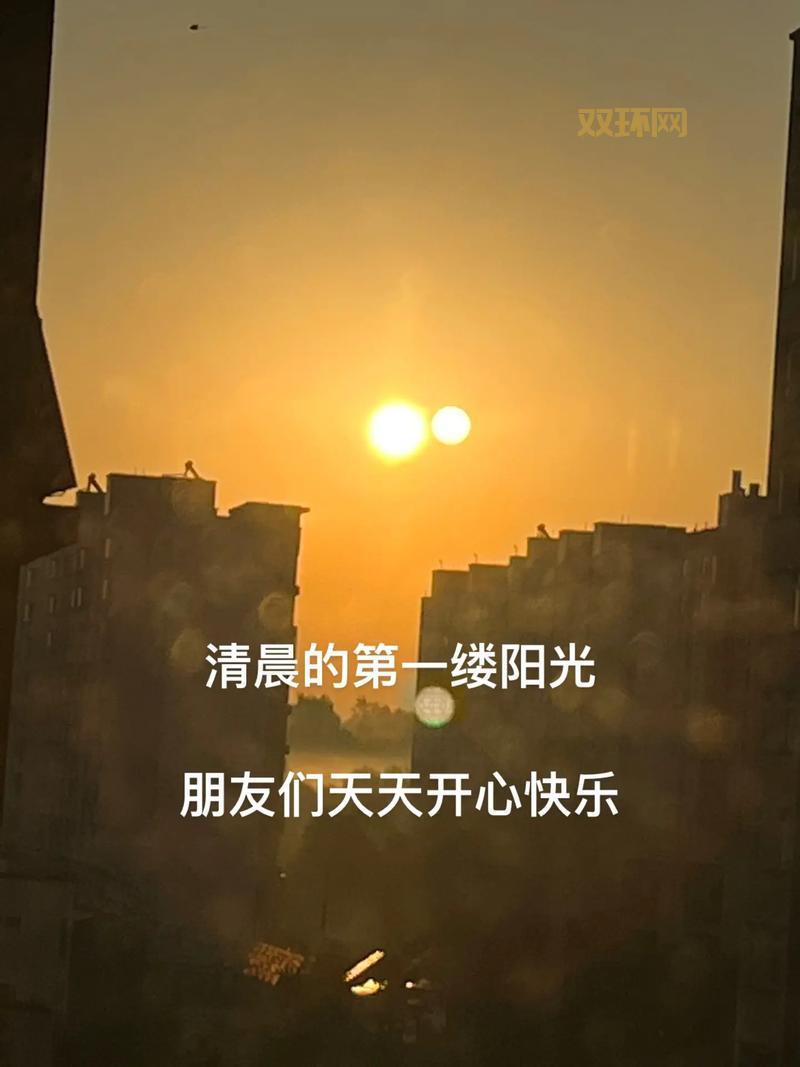 仙踪林官方网站首页:记录美好生活,开启创作之旅