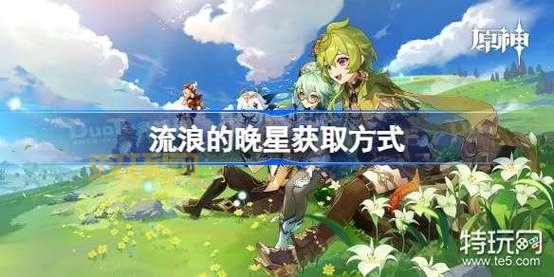 流浪的晚星属性分析与最佳搭配角色