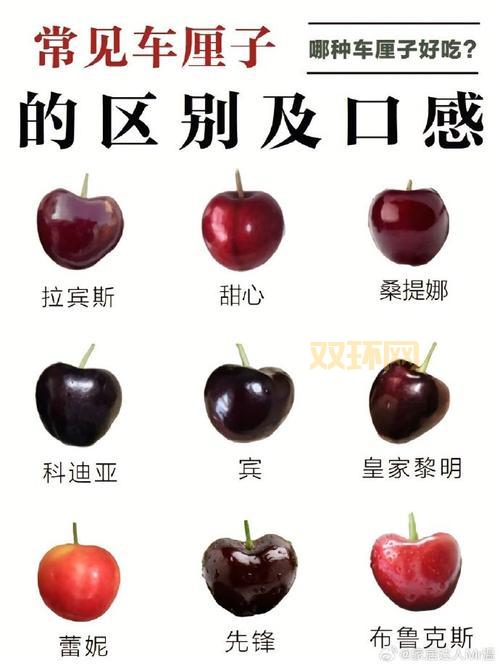 如何判断J级樱桃大小？一文读懂樱桃分级