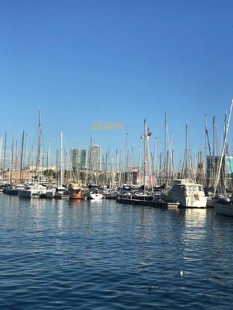 听说过雷夫埃里克吗？维京探险家，比哥伦布还早！