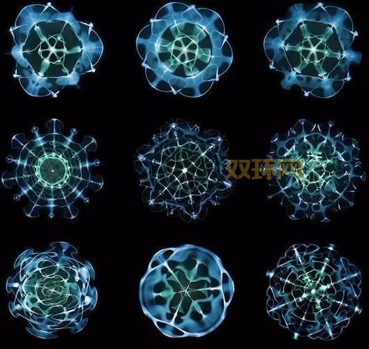 泰坦的净化太刀攻略:让输出更爆炸的秘密