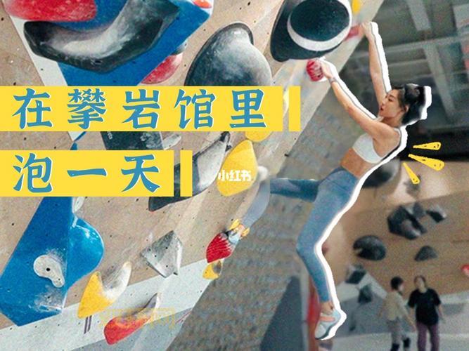 微博怎么玩？新手必看的入门指南