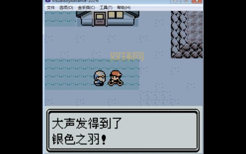 口袋妖怪黑二攻略:全道馆挑战通关技巧大揭秘