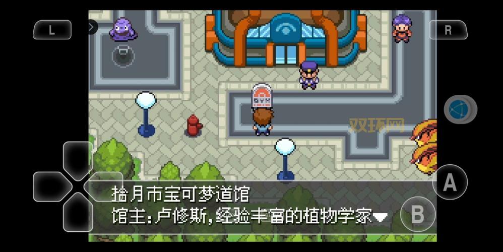 口袋妖怪黑二攻略:全道馆挑战通关技巧大揭秘