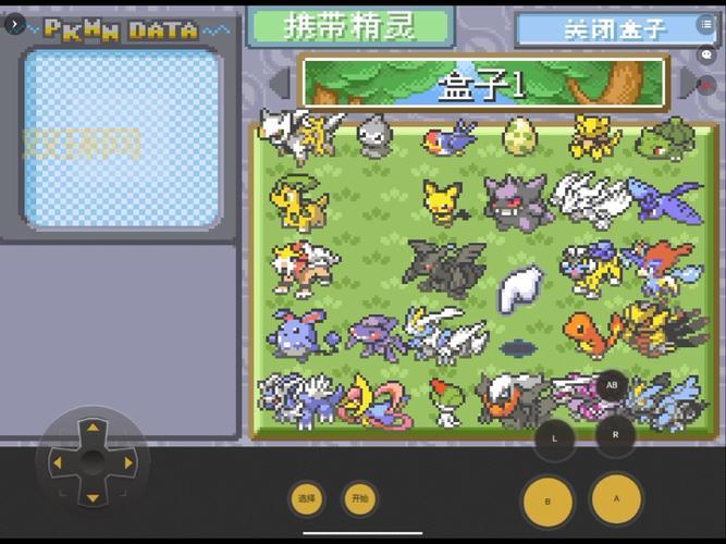 口袋妖怪黑二攻略:全道馆挑战通关技巧大揭秘