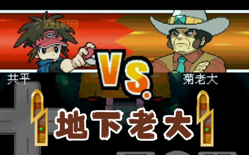 口袋妖怪黑二攻略:全道馆挑战通关技巧大揭秘