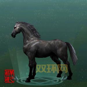 剑网3稀有马驹刷新时间汇总,让你不错过每个刷新点