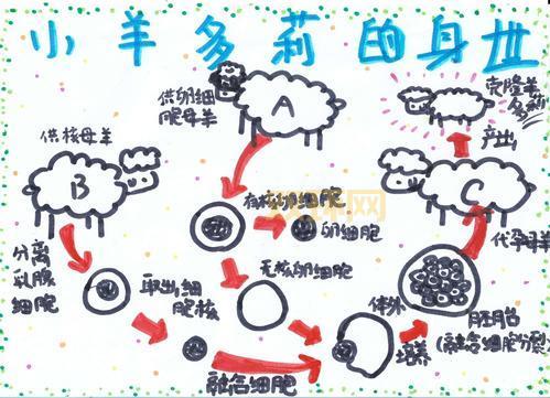 克隆羊多利背后的故事：改变世界的生物科技创新