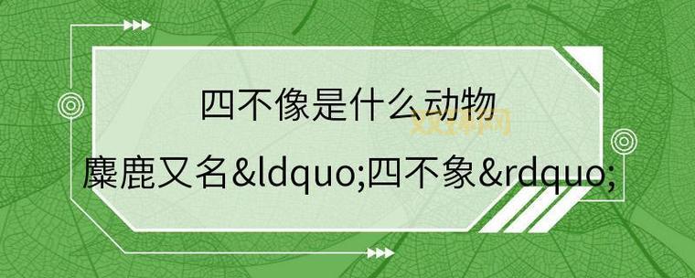 四不像究竟是什么动物?详解麋鹿等珍稀物种的奇特外貌