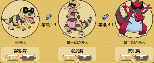 口袋妖怪白金图鉴怎么看？老玩家教你轻松上手！