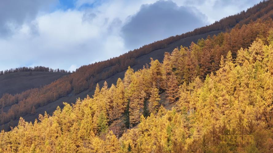 侠客风云传 杭州探索指南:最全攻略与任务技巧