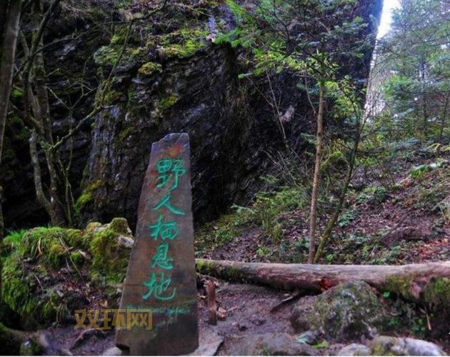 惊天动地!机甲入侵背后的秘密,你绝对想不到!