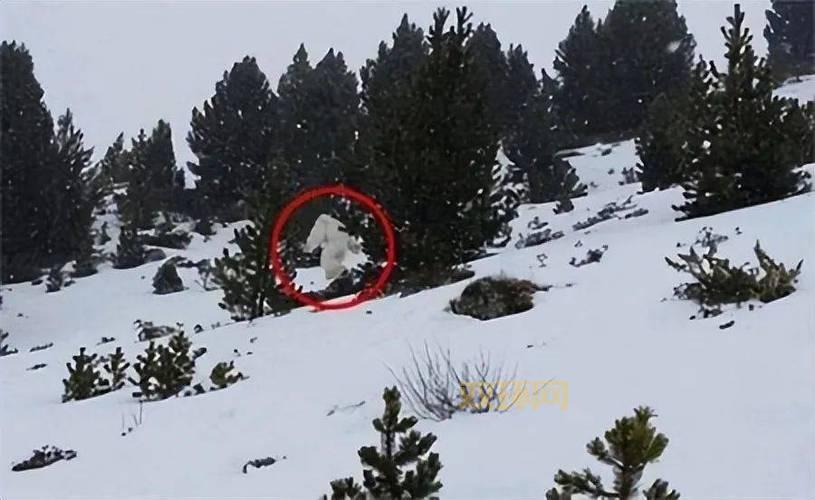 惊天动地!机甲入侵背后的秘密,你绝对想不到!