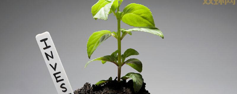 生苗和熟苗有何不同？带你探究两种苗族群体的独特风貌