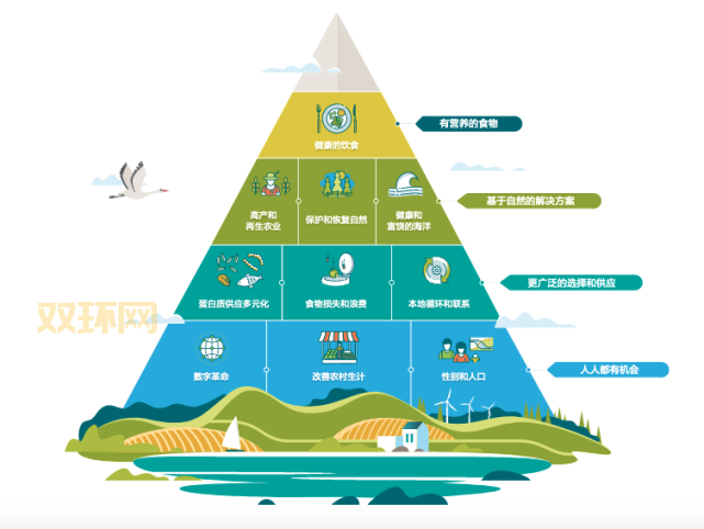 暴风前夕：环境变革与气候灾难的前兆