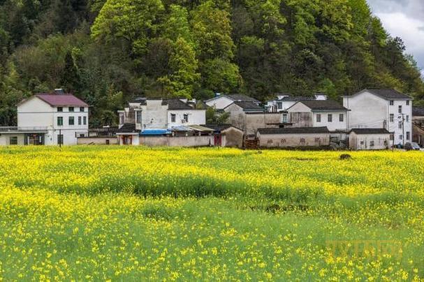 断罪者到底是男的还是女的？别再猜了！
