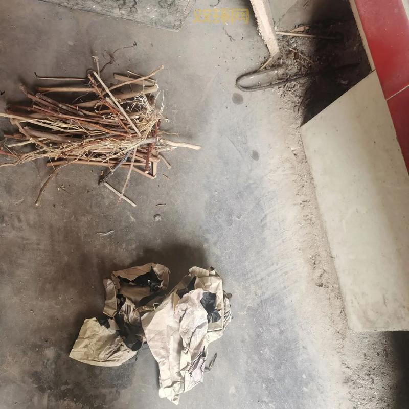 断罪者到底是男的还是女的？别再猜了！