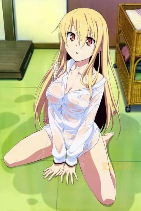 哪里可以下载人工少女汉化版?亲测有效的方法!