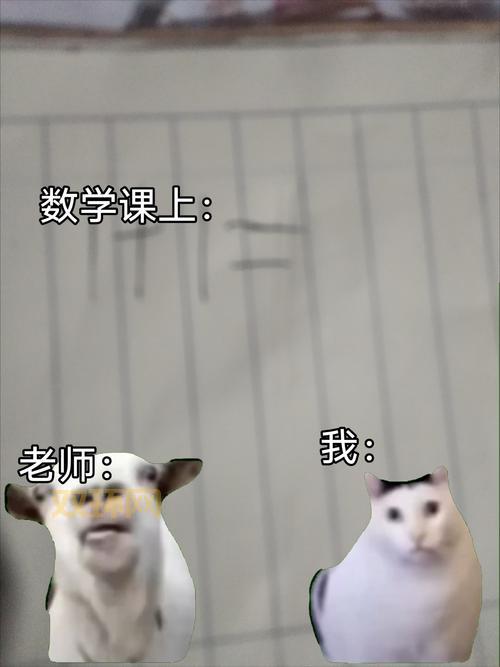 思密达是什么意思啊?网络用语解读及背后含义