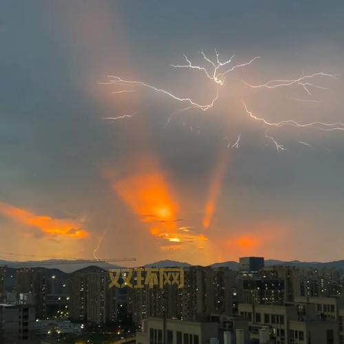 杭州闪电今日赛果出炉！速来围观最新战况！