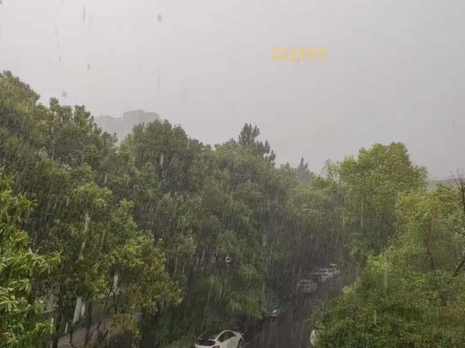 杭州闪电今日赛果出炉!速来围观最新战况!