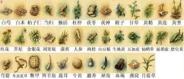 武林群侠传完美攻略，新手小白快速上手指南！